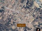 Fotografija 294433659