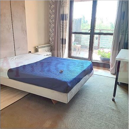 Снимка 294499959