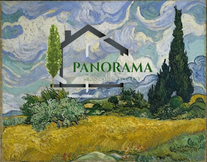 Снимка 294757665