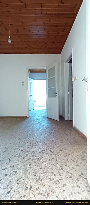 Photo 294875769