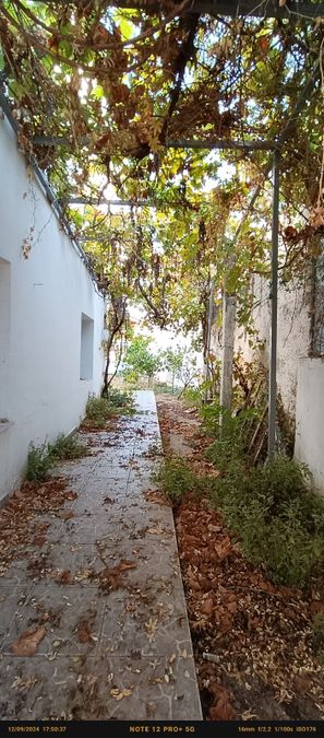 Photo 294875784