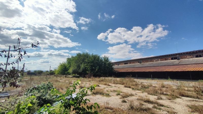 Снимка 294914361