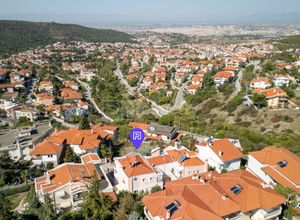 property listing without image