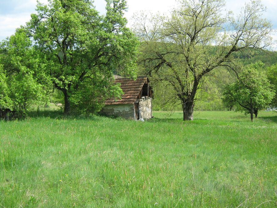 Prodaja Kuća, 75m2, 20.000€ - Milakovac | Indomio.rs