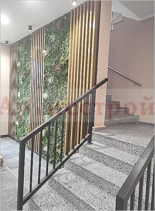 Снимка 295590489