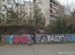 Photo 296483490