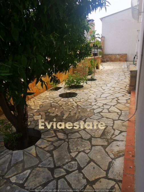 Photo 296538462