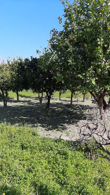 Photo 296540052