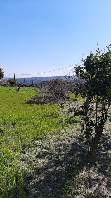 Photo 296540058