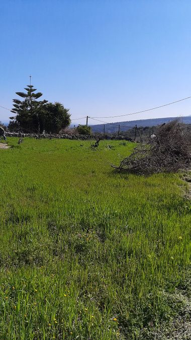 Photo 296540064
