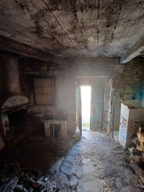 Photo 296563764