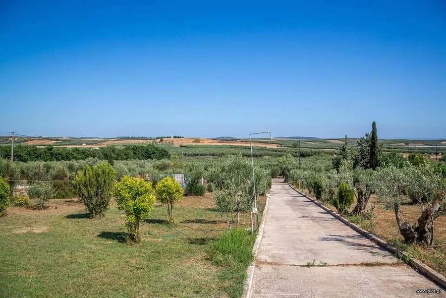 Fotografija 296659296