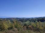 Photo 297293964