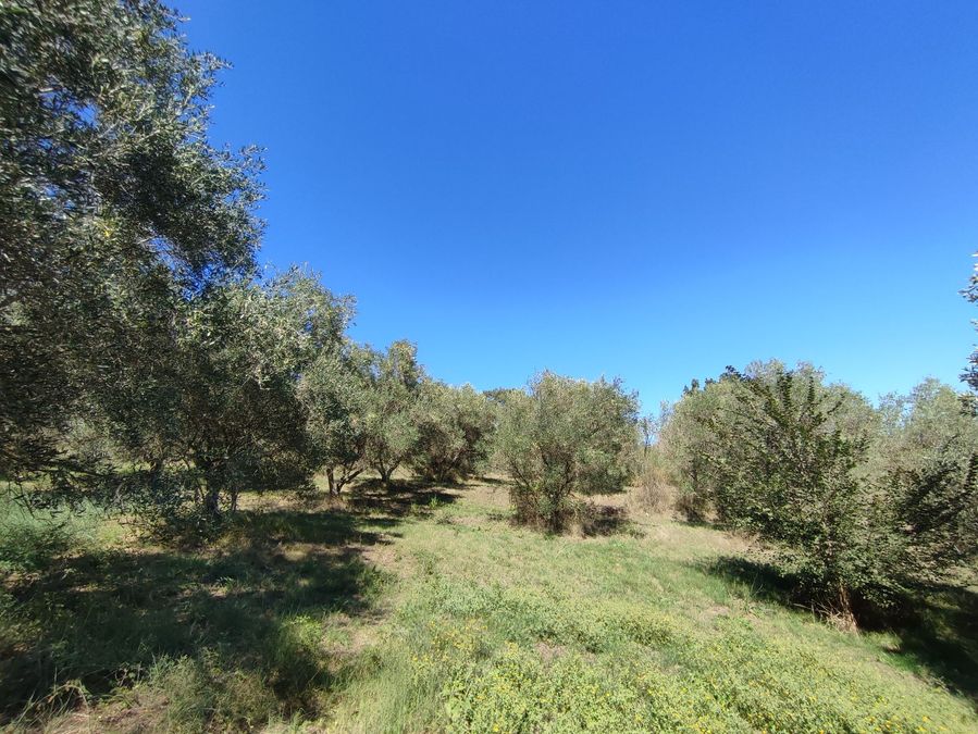 Photo 297294204