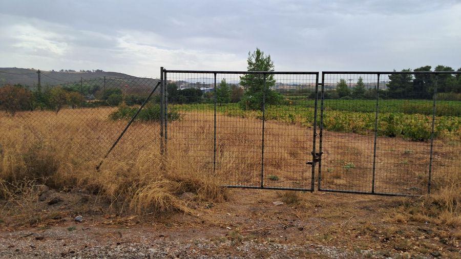 Photo 297407457