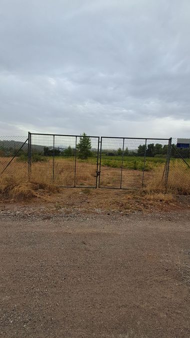 Photo 297407619