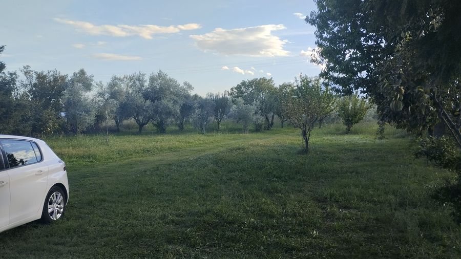 Photo 297706566
