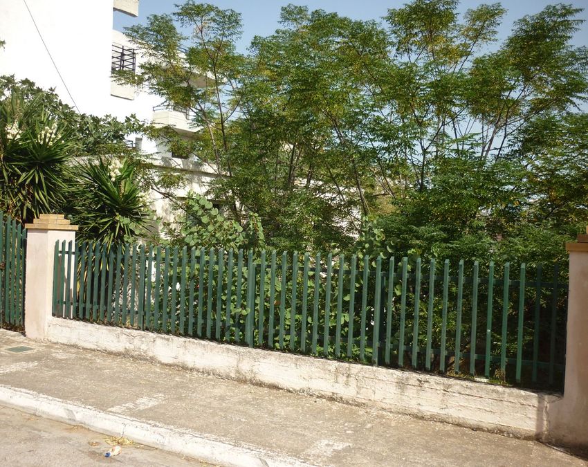 Photo 297771660