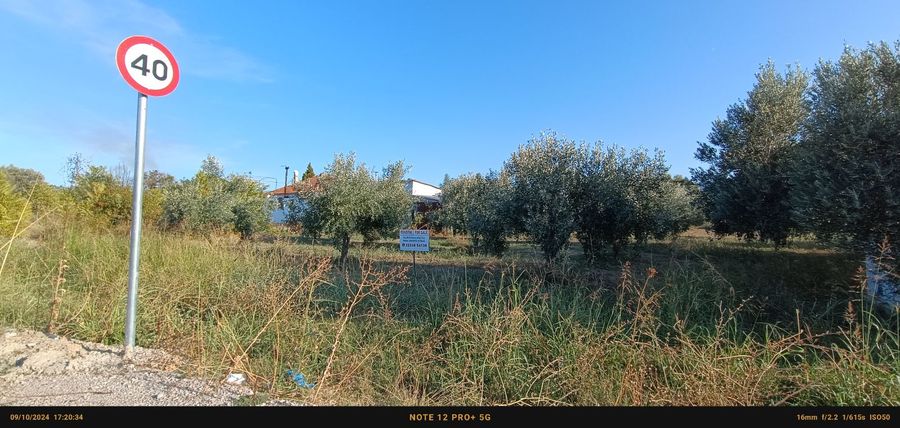 Photo 297774441