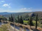 Photo 297796116