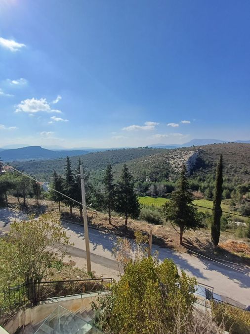 Photo 297796116