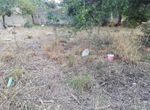 Photo 297812460