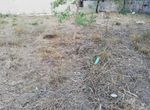 Photo 297812463