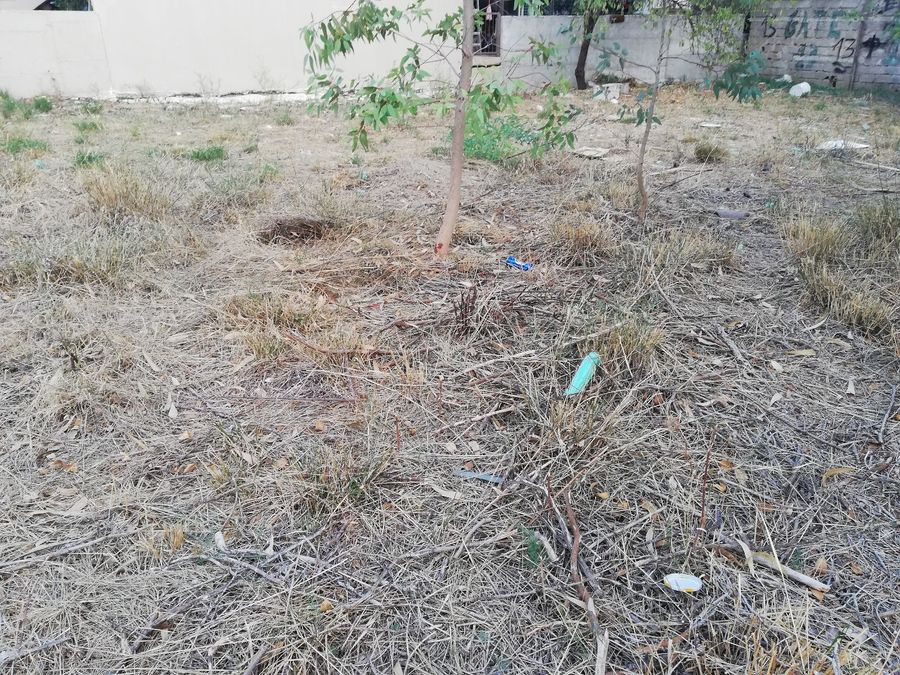 Photo 297812463