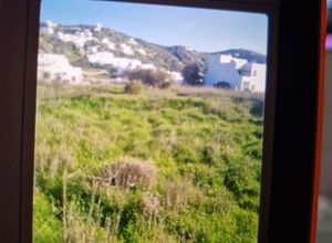 Plot Main town - Chora