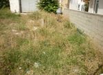 Photo 298498869