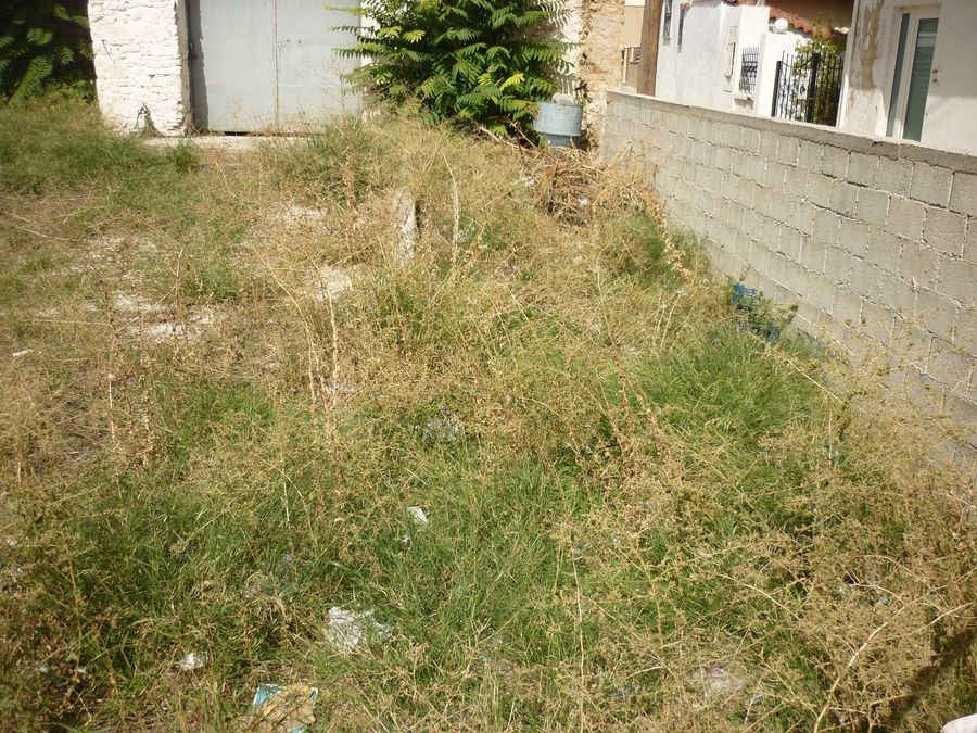 Photo 298498869