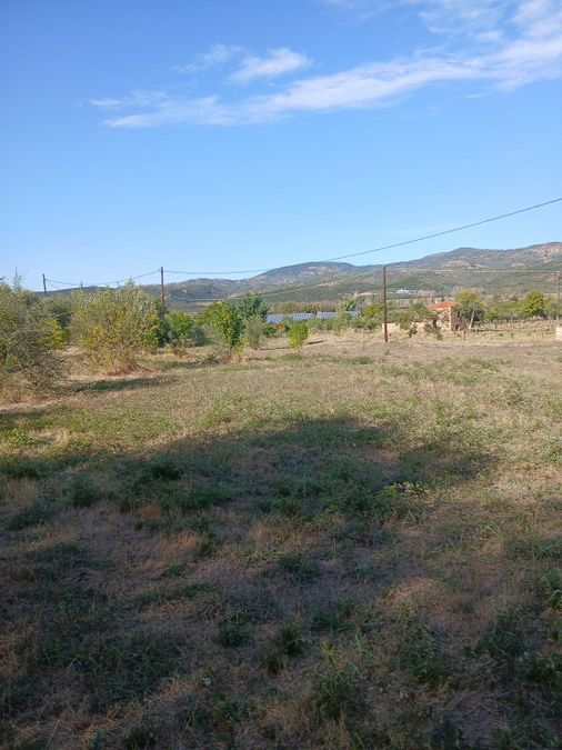 Photo 298600419