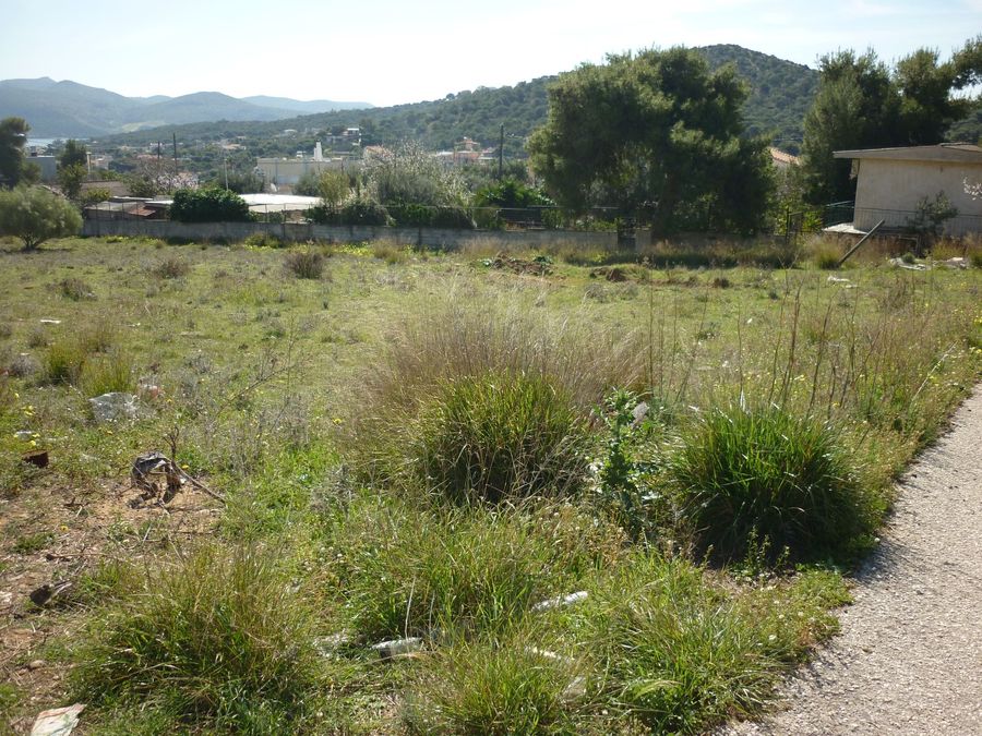 Photo 298870578