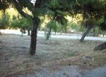 Photo 299027808