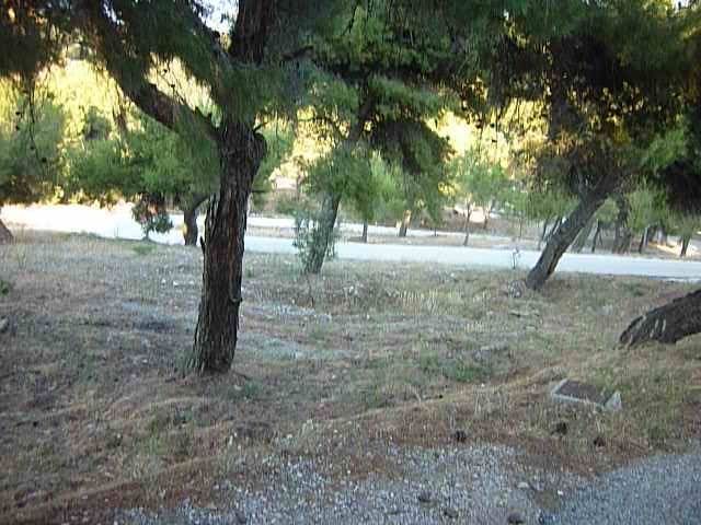 Photo 299027808