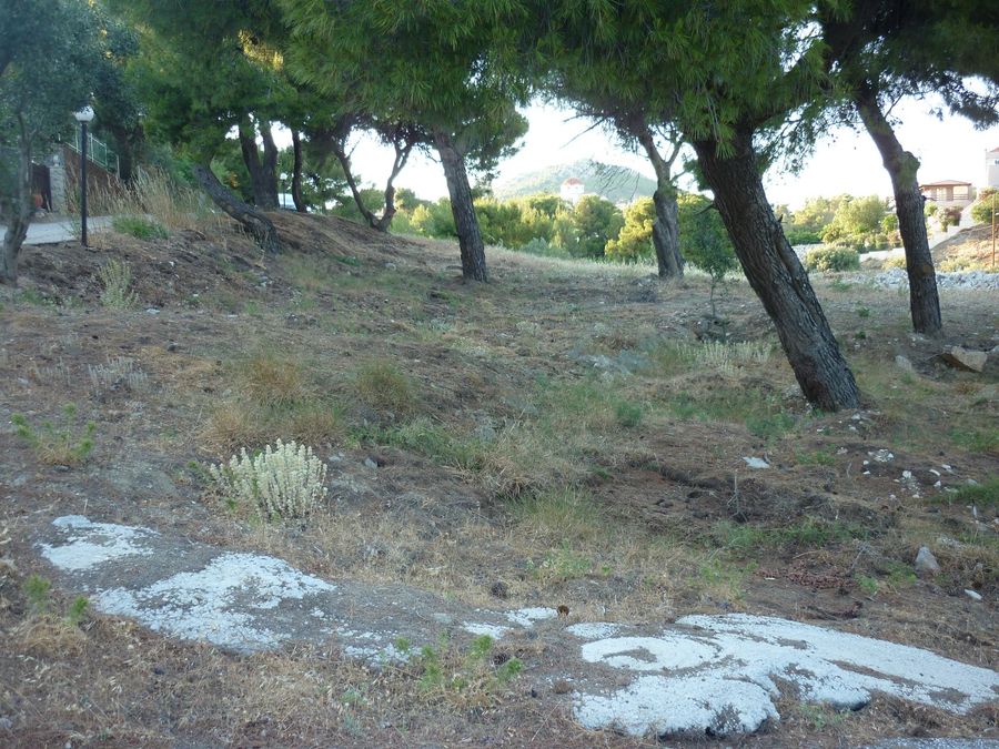 Photo 299027820