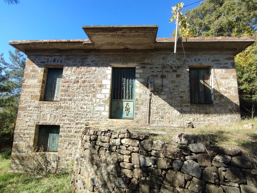 Photo 299422197