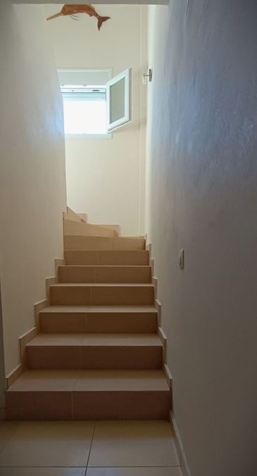 Photo 299537424