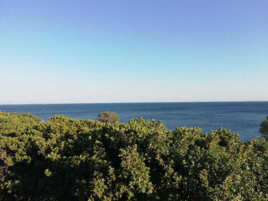 Photo 299759304