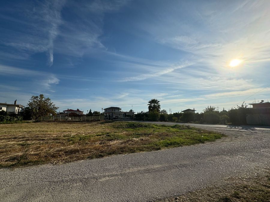 Photo 299770848