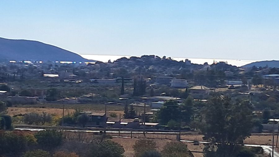Photo 299855814