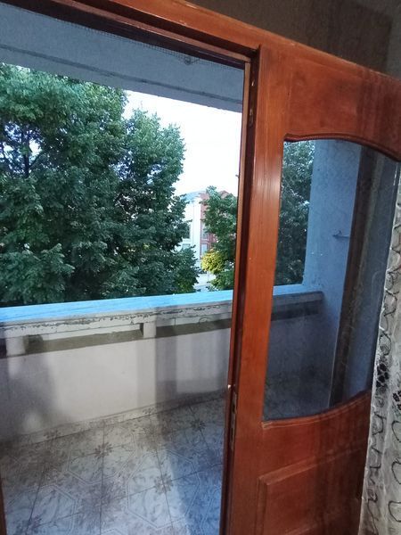 Foto 300031614