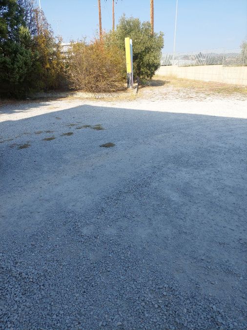 Photo 300060837