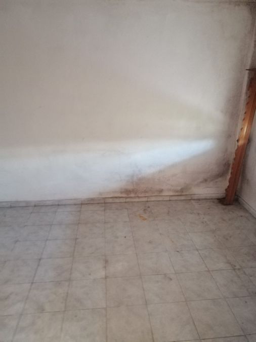 Photo 300636513