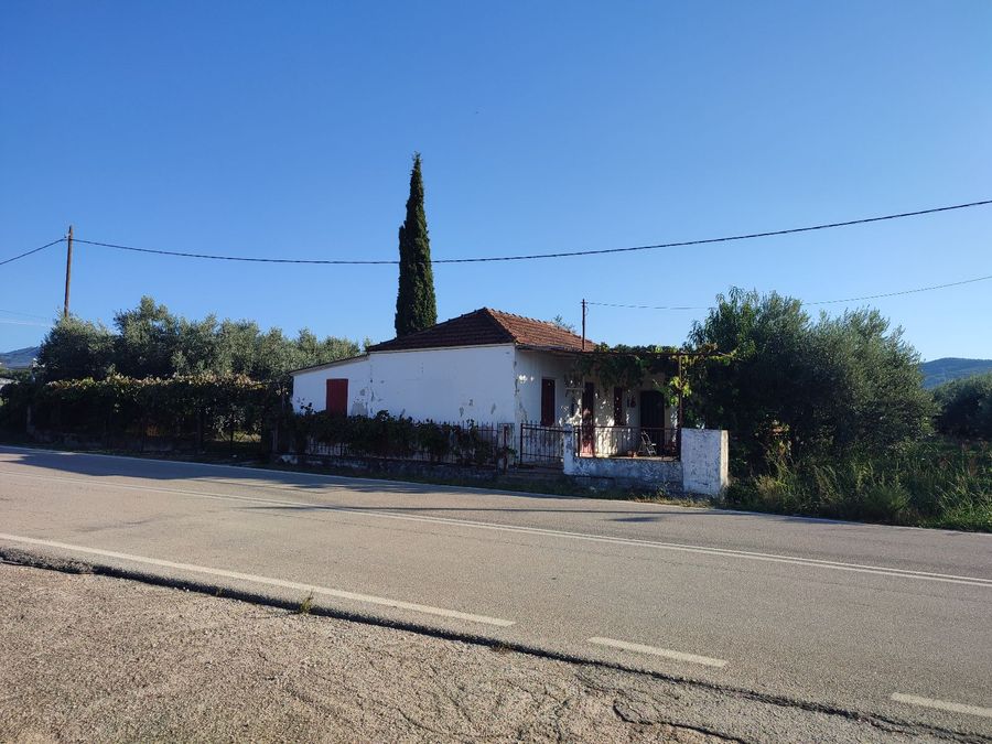 Photo 300669693