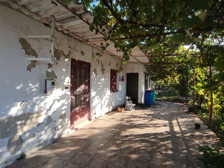 Photo 300669726