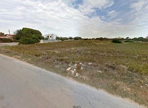 Farm parcel for sale Center (Rafina) 4,616 ㎡