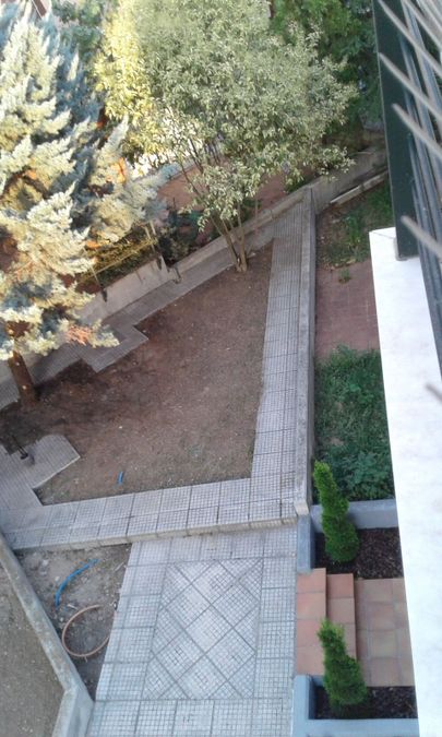 Photo 300848577