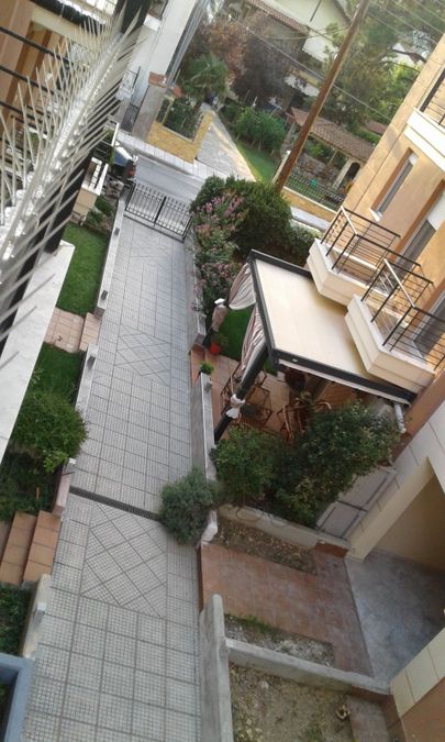 Photo 300848811