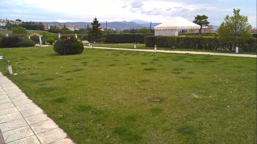 Photo 300963846